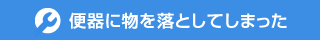 便器に物を落としてしまった